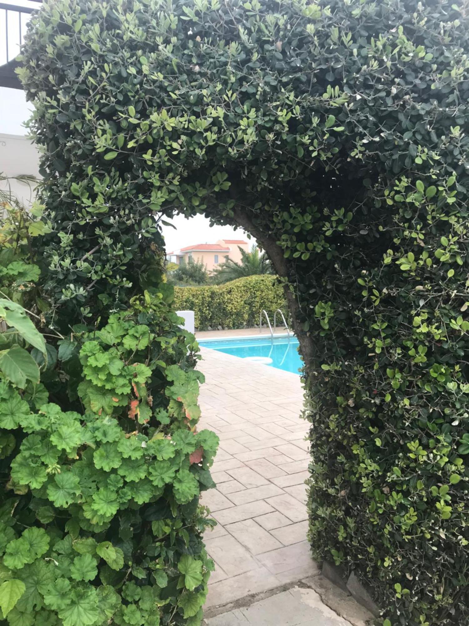 Apartment Erato *
